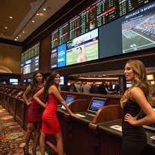 m8bet net